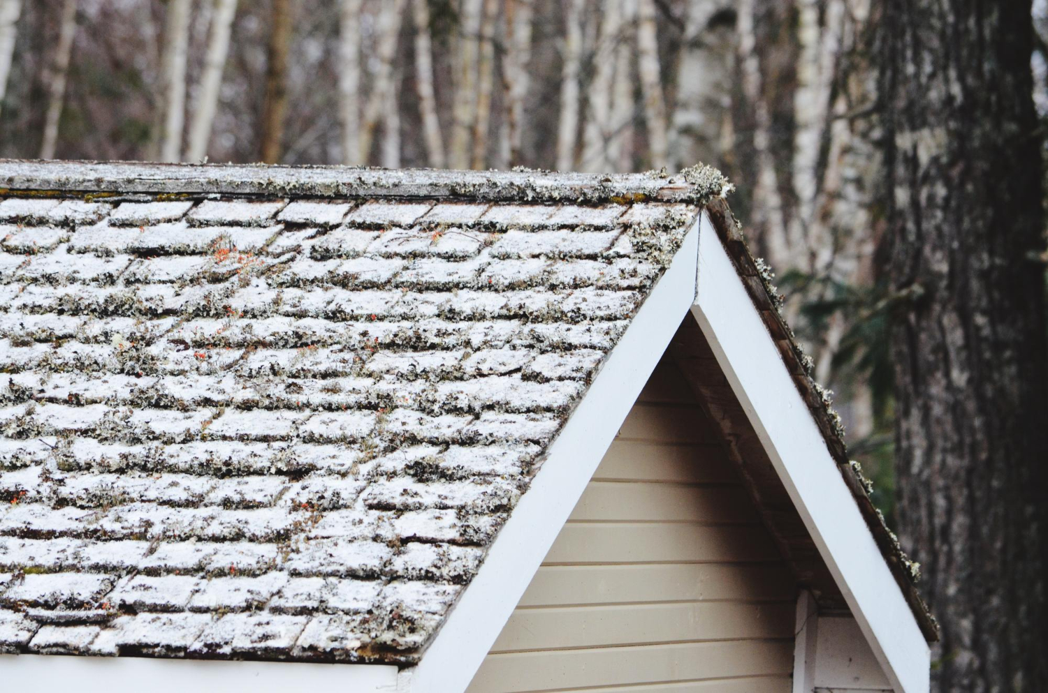 winter roof