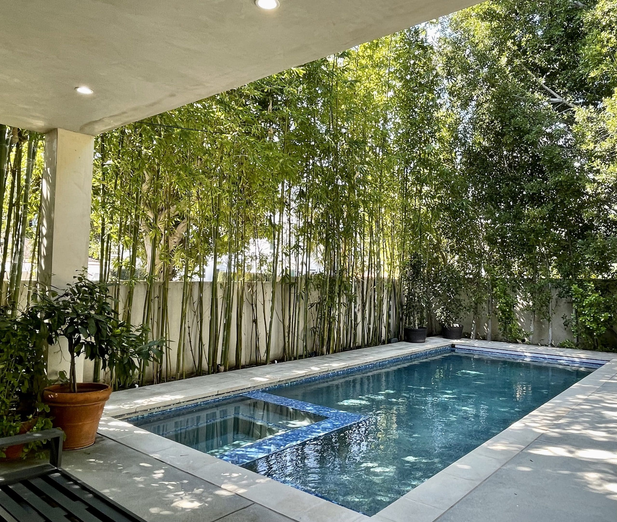 Beverly Hills custom home photo 17